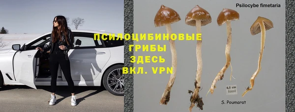 скорость Алексин