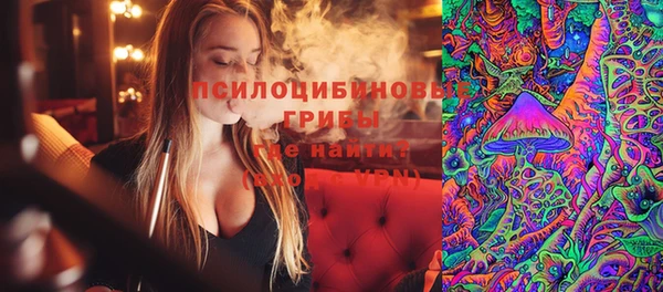 а пвп мука Алзамай