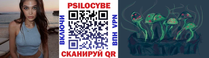 закладки  Куса  mega маркетплейс  Псилоцибиновые грибы мицелий 
